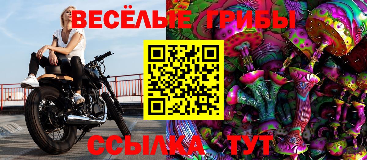 Галлюциногенные грибы Psilocybe  что такое наркотик  Феодосия  Вход с VPN  Галлюциногенные грибы прущие грибы 