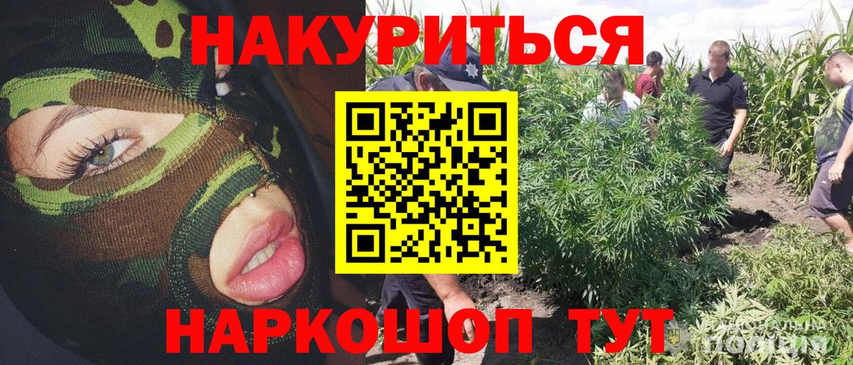 Шишки марихуана Bruce Banner  Канабис конопля  Феодосия  МАРИХУАНА тримм  Вход с VPN 